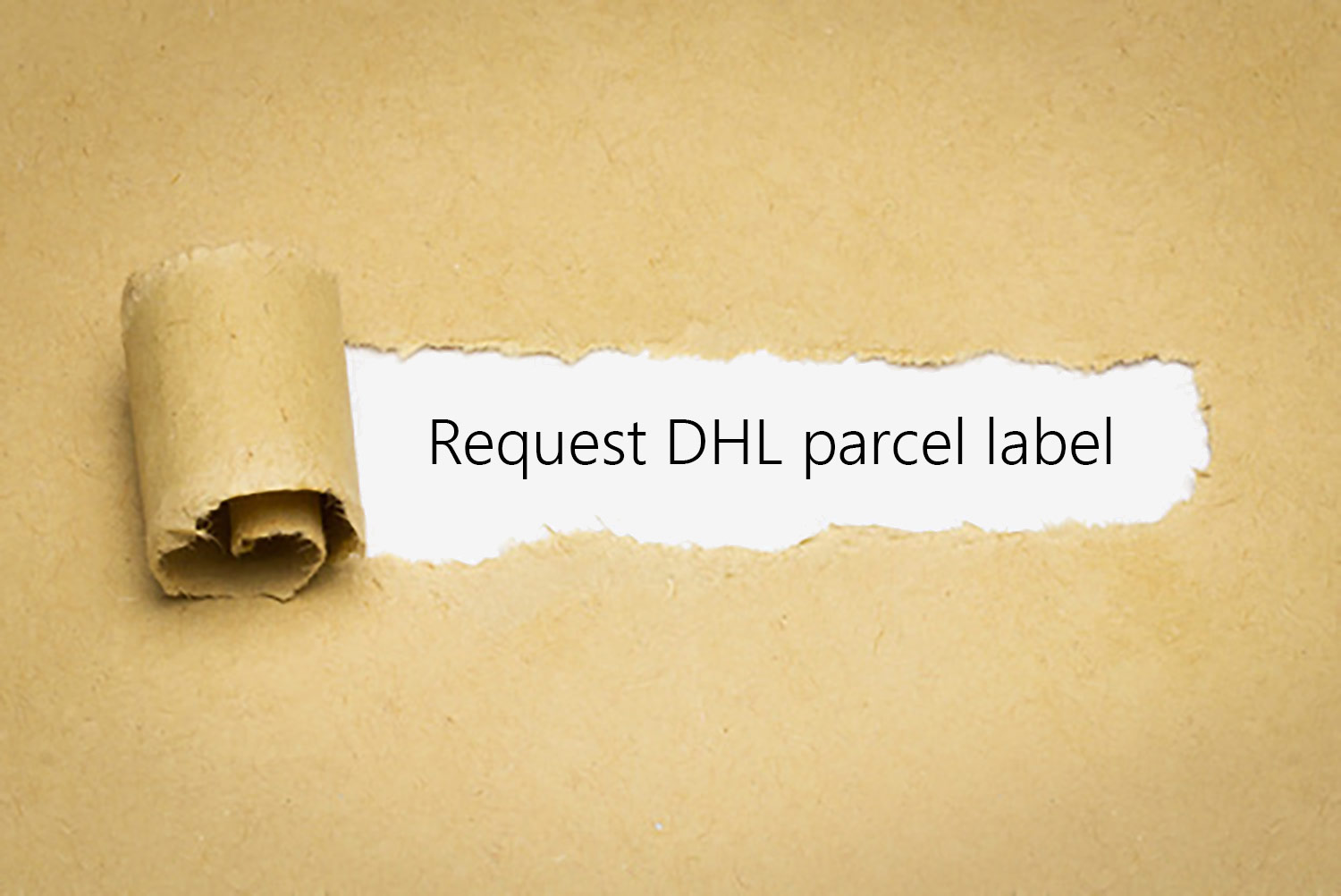 Request DHL parcel label